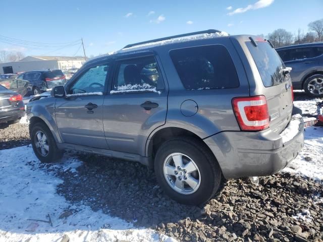 2010 Ford Escape XLT