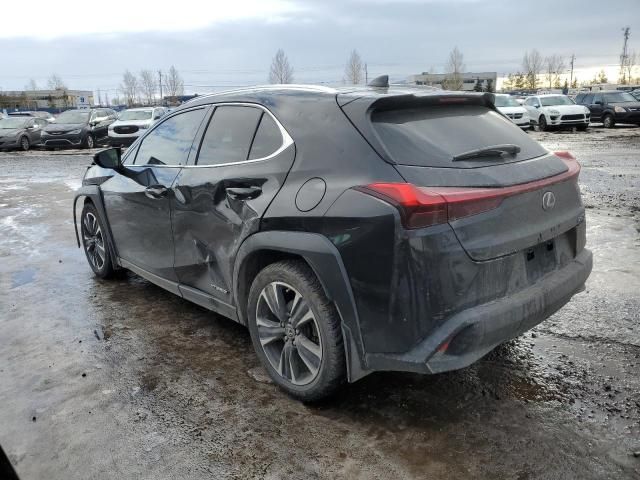 2019 Lexus UX 250H