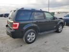 2008 Ford Escape Limited