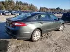 2016 Ford Fusion SE Hybrid