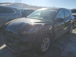 Salvage cars for sale at Littleton, CO auction: 2021 Ford Escape SE