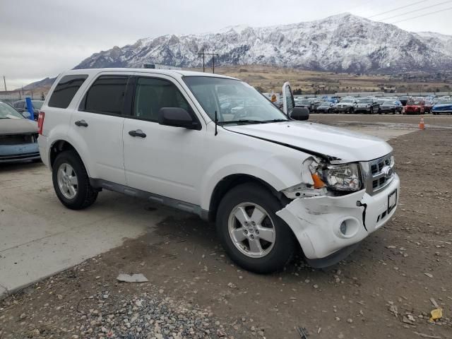 2010 Ford Escape XLS