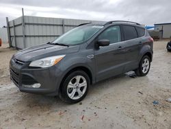 Salvage cars for sale at Arcadia, FL auction: 2016 Ford Escape SE