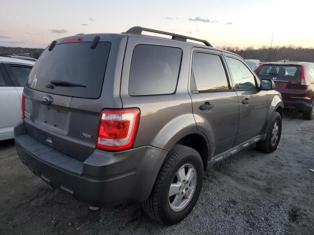 2011 Ford Escape XLT