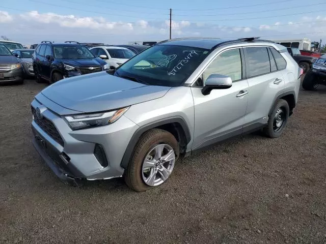 2024 Toyota Rav4 XLE