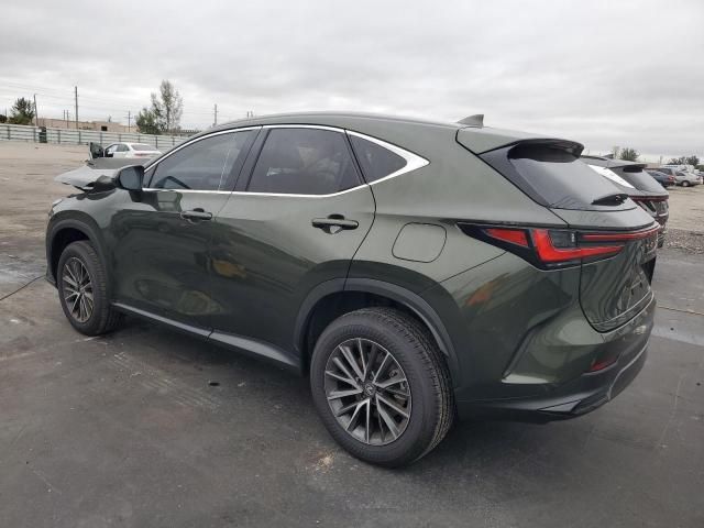 2025 Lexus NX 250 Base