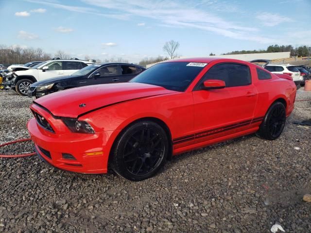 2013 Ford Mustang