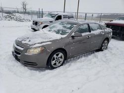 Chevrolet Vehiculos salvage en venta: 2010 Chevrolet Malibu 1LT