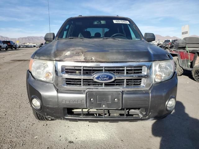 2009 Ford Escape XLT