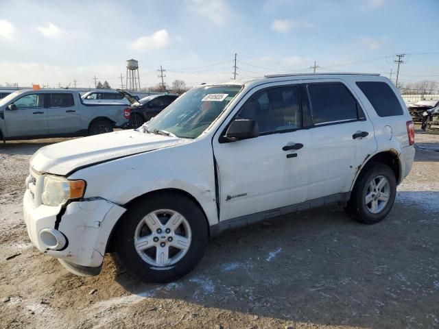 2010 Ford Escape Hybrid