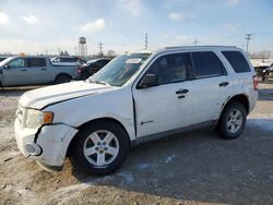 2010 Ford Escape Hybrid en venta en Chicago Heights, IL