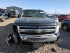 2007 Chevrolet Silverado K1500