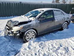 Salvage cars for sale from Copart Finksburg, MD: 2010 Toyota Corolla Base