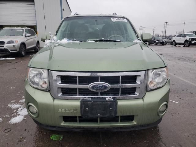 2010 Ford Escape Hybrid