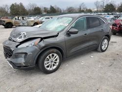 2020 Ford Escape SE en venta en Madisonville, TN