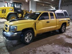 Salvage trucks for sale at Moncton, NB auction: 2006 Dodge Dakota SLT