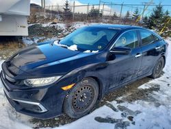 Salvage cars for sale from Copart Cow Bay, NS: 2020 Honda Civic Touring