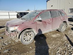 Salvage cars for sale at Appleton, WI auction: 2014 Ford Edge SEL