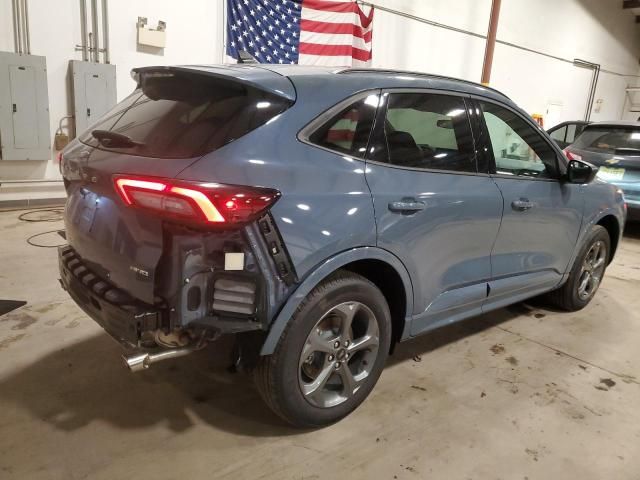 2024 Ford Escape ST Line