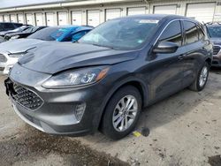 Salvage Cars with No Bids Yet For Sale at auction: 2020 Ford Escape SE