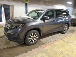 Vehiculos salvage en venta de Copart Indianapolis, IN: 2019 Honda Pilot EXL