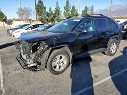 Salvage cars for sale at Rancho Cucamonga, CA auction: 2021 Toyota Rav4 XLE