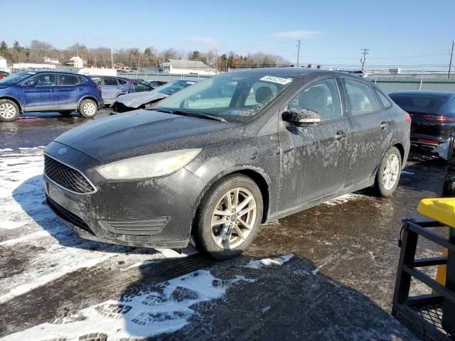 2015 Ford Focus SE