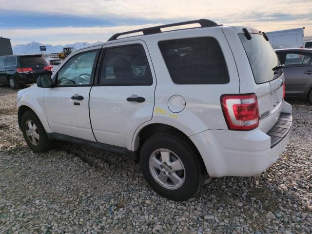 2012 Ford Escape XLT