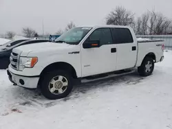 Salvage trucks for sale at London, ON auction: 2013 Ford F150 Supercrew