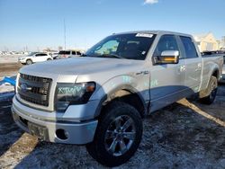 Salvage cars for sale at Brighton, CO auction: 2013 Ford F150 Supercrew