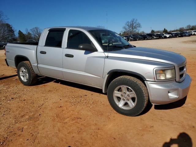 2011 Dodge Dakota SLT