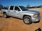 2011 Dodge Dakota SLT