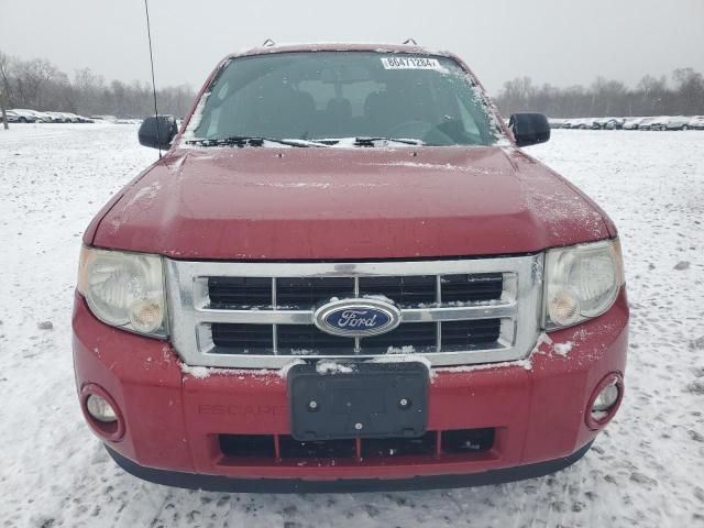 2011 Ford Escape XLT