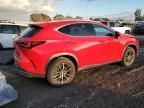 2024 Lexus NX 250 Base