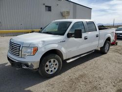 2012 Ford F150 Supercrew en venta en Tucson, AZ