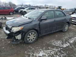 Salvage cars for sale at Duryea, PA auction: 2010 Toyota Corolla Base