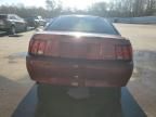 2004 Ford Mustang