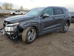 Salvage cars for sale at auction: 2023 Hyundai Santa FE SEL