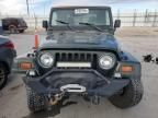 1998 Jeep Wrangler / TJ Sahara