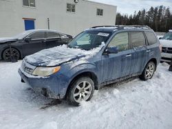 Salvage cars for sale at Cookstown, ON auction: 2011 Subaru Forester 2.5X Premium