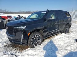 Cadillac salvage cars for sale: 2023 Cadillac Escalade Sport Platinum