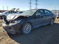 Salvage cars for sale from Copart Elgin, IL: 2013 Honda Accord EXL