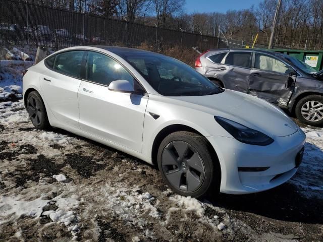 2021 Tesla Model 3