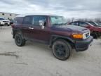 2007 Toyota FJ Cruiser