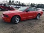 2007 Ford Mustang GT