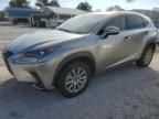 2020 Lexus NX 300H