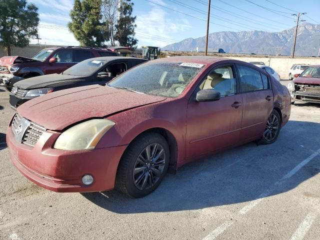 2004 Nissan Maxima SE