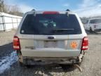 2008 Ford Escape Limited