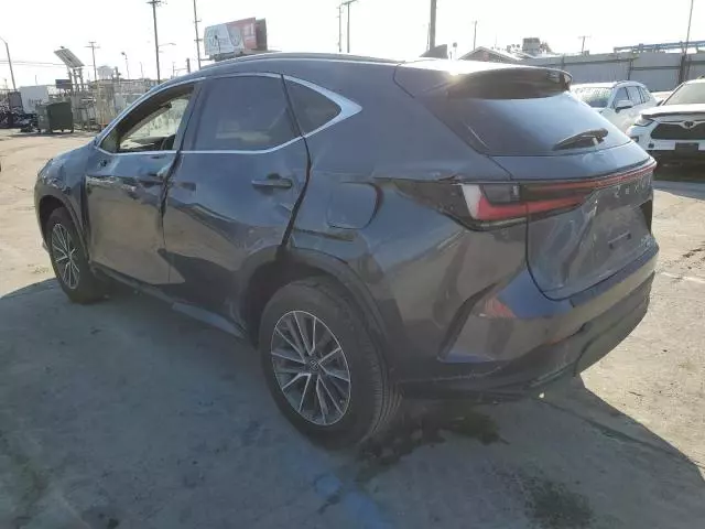 2022 Lexus NX 350