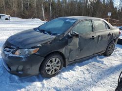 Vehiculos salvage en venta de Copart Ontario Auction, ON: 2012 Toyota Corolla Base